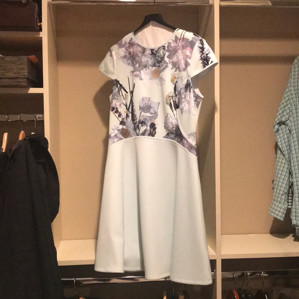 Ted Baker Dress. This dress is sized 1-5